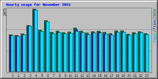 Hourly usage for November 2021