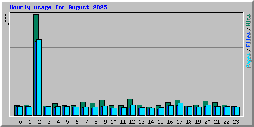 Hourly usage for August 2025