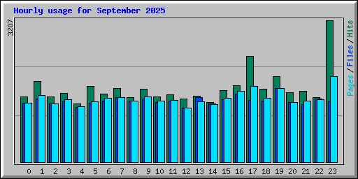 Hourly usage for September 2025