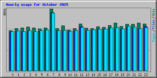 Hourly usage for October 2025